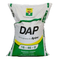 DAP
